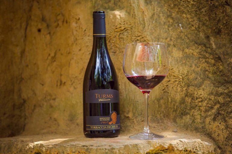 THE CELLAR AND OUR WINES - Torraccia di Chiusi